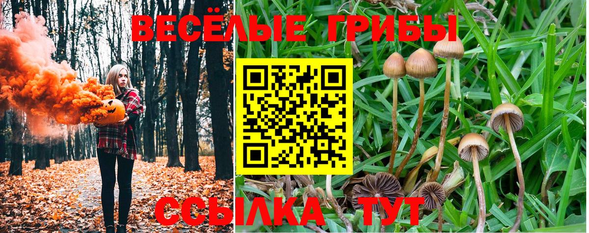 Псилоцибиновые грибы MAGIC MUSHROOMS  Вход с VPN  Ялуторовск 